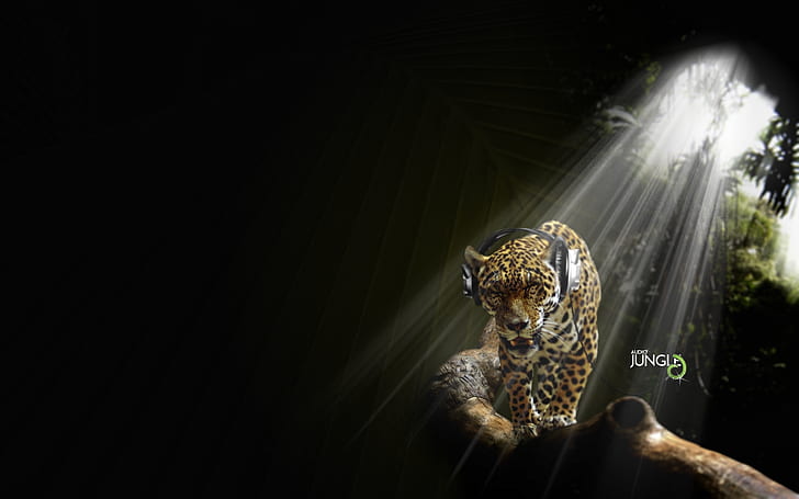Jaguar di Audio Jungle HD, dalam, kreatif, grafis, kreatif dan grafis, hutan, jaguar, audio, Wallpaper HD