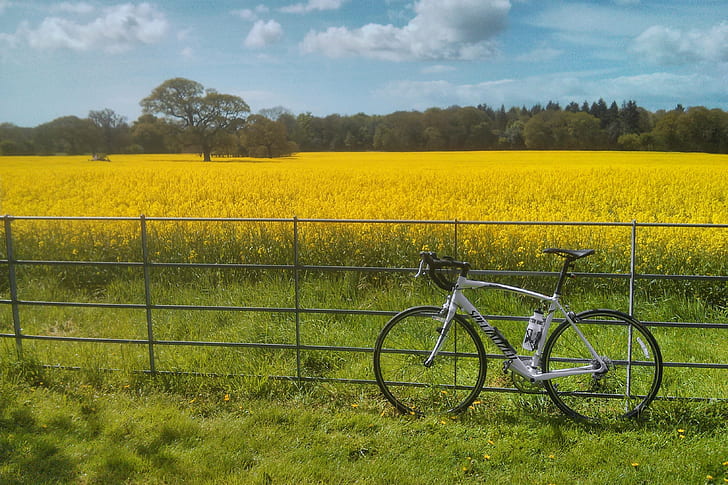 gray road bike, fluorescent, flowers, gray, road bike, Sussex, landscape, colour, color  yellow, specialized, trees, fence, clouds, sky, grass, rapeseed, day, clear, oilseed Rape, nature, agriculture, rural Scene, yellow, canola, field, summer, flower, outdoors, farm, blue, meadow, HD wallpaper