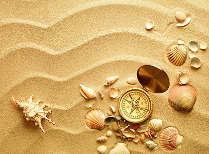 assorted shells and compass, compass, shells, sand, HD wallpaper HD wallpaper