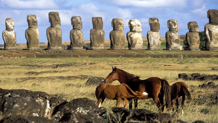 Мир лошадей Чили Остров Пасхи 1920x1080 Животные Лошади HD Art, мир, Чили, HD обои