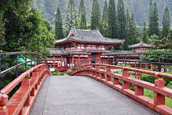 architecture, bridge, japanese, perspective, temple, traditional, wooden, HD wallpaper