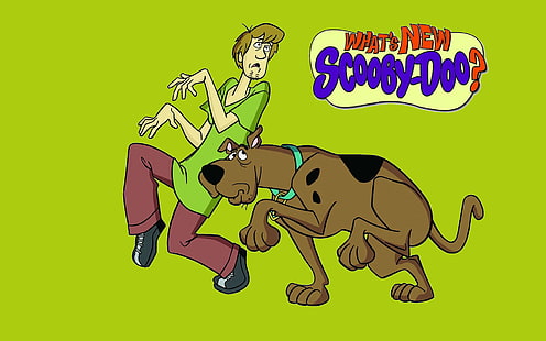 Carta da parati Shaggy Scooby Doo, Scooby-Doo e Shaggy, Cartoni animati, cartone animato, cane, scooby, Sfondo HD HD wallpaper