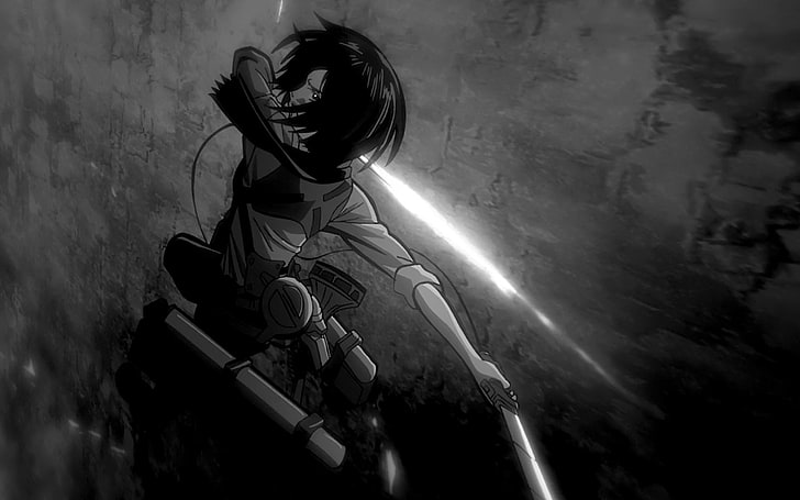 Anime, Attack On Titan, Schwarz & Weiß, Mikasa Ackerman, Shingeki No Kyojin, HD-Hintergrundbild