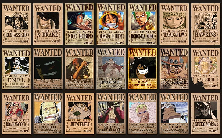 anime, One Piece, Wanted, Fondo de pantalla HD
