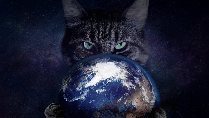 kucing hitam, luar angkasa, kucing, Bumi, Wallpaper HD