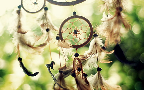 Dreamcatcher White Earrings, brown and white dreamcatcher, Other, , green, background, feathers, dreamcatcher, HD wallpaper HD wallpaper