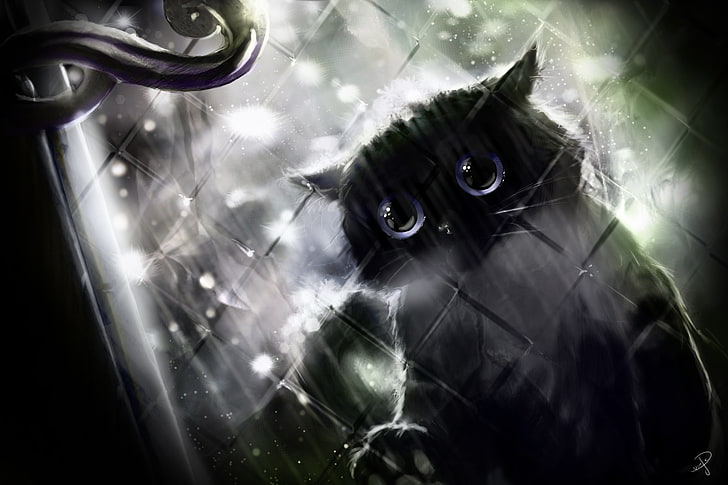 black cat under the rain behind hog wires digital wallpaper, rain, window, handle, black cat, HD wallpaper
