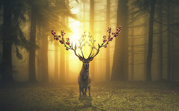 deer, photo manipulation, scenic, horns, trees, spring, Animal, HD wallpaper