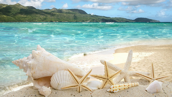 Nature, beach, sand, ocean, sea, shore, vacation, water, tropical, coast, HD  wallpaper | Wallpaperbetter