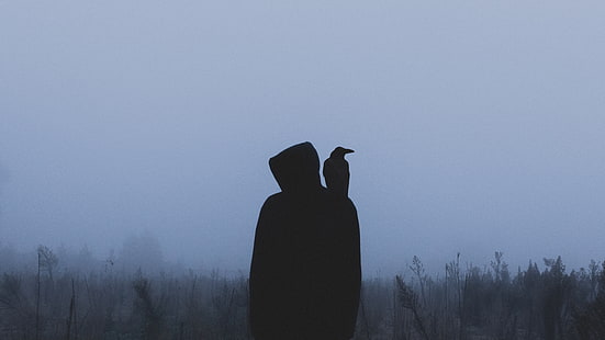 силуэт, ворона, капюшон, одиночество, туман, HD обои HD wallpaper