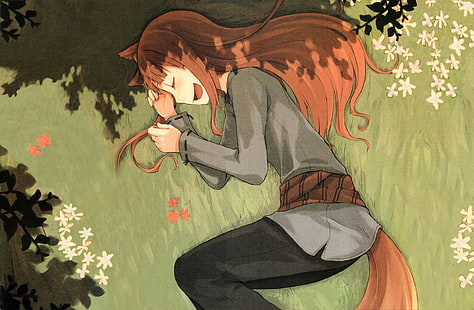 Волчица пряностей и волков холо мудрый 1680x1050 Аниме Hot Anime HD Art, Волчица и пряности, Холо мудрый, HD обои HD wallpaper