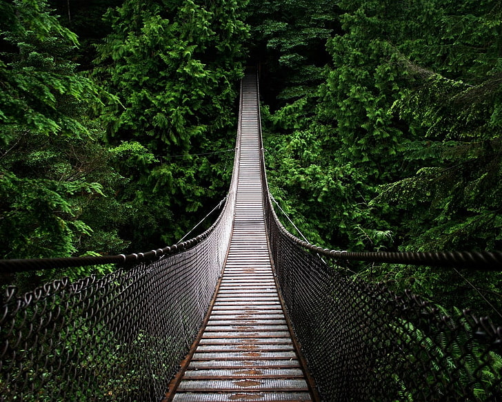 ศิลปะดิจิตอลสะพานป่า, วอลล์เปเปอร์ HD