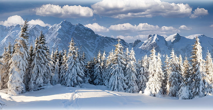 живопись синих и белых деревьев, зима, пейзаж, природа, снег, деревья, горы, лес, HD обои