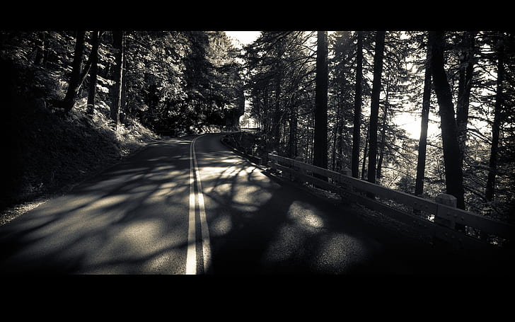 Forest Quite Road Abstract Photography HD Art , forest, road, Quite, HD wallpaper
