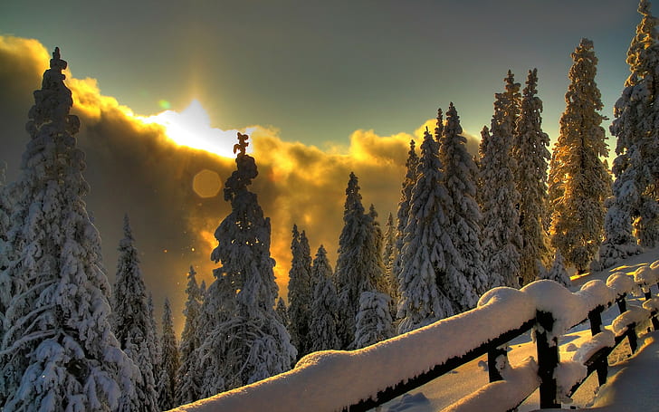 salju, musim dingin, sinar matahari, Wallpaper HD