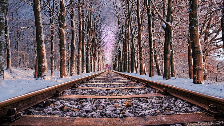 piste, nature, neige, hiver, arbre, bois, rail, branche, chemin de fer, bois, droite, bois, forêt, chemin de fer, pistes, voies ferrées, Fond d'écran HD