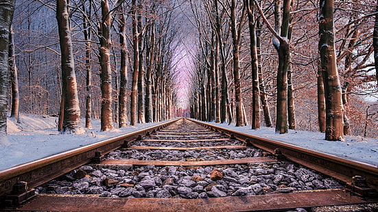 track, nature, snow, winter, tree, woods, rail, branch, railway, woodland, straight, wood, forest, railroad, tracks, rail tracks, HD wallpaper HD wallpaper