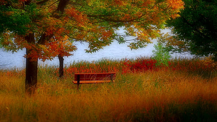 Есенна пейка, кафява дървена пейка в кафява и зелена трева, река, пейка, цветове, есен, 3d и абстрактно, HD тапет