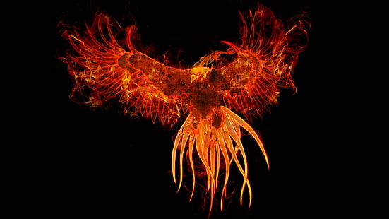 ptaki ogień feniks fantasy art digital art grafika mitologia 1920x1080 zwierzęta ptaki sztuka HD, ogień, ptaki, Tapety HD HD wallpaper