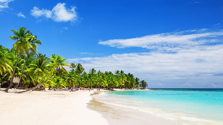 Арена Бланка Бийч Доминиканска република Бели пясъчни плажове Кокосови палми Тропически тапет Hd 2560 × 1440, HD тапет