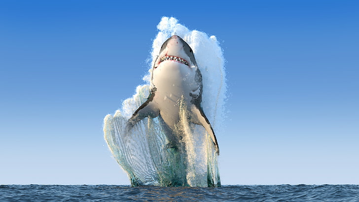 Great White Shark, shark, render, sea, fangs, Photoshop, HD wallpaper