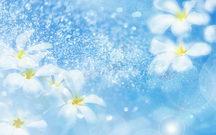 Flowers, White, Blue Background, Fresh, Lovely, flowers, white, blue  background, HD wallpaper | Wallpaperbetter