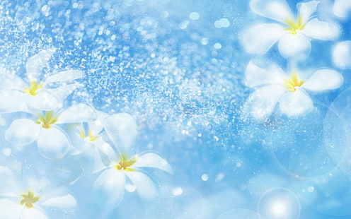 Bunga, Putih, Latar Belakang Biru, Segar, Indah, bunga-bunga, putih, latar belakang biru, segar, indah, Wallpaper HD HD wallpaper