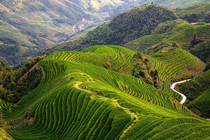 top view of mountain with ridges, asia, agriculture, nature, mountain, tea Crop, terraced Field, rural Scene, hill, farm, landscape, rice Paddy, growth, china - East Asia, sa Pa, field, cultures, vietnam, valley, HD wallpaper