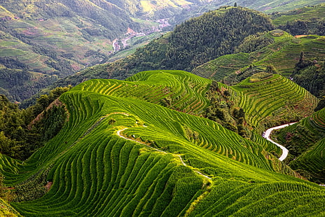 山の頂上、アジア、農業、自然、山、茶畑、棚田、田園風景、丘、農場、風景、水田、成長、中国-東アジア、サパ、フィールド、文化、ベトナム、谷、 HDデスクトップの壁紙 HD wallpaper