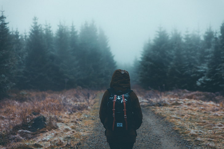 black and brown Herschel backpack, tourist, walk, backpack, forest, fog, HD wallpaper
