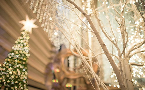 Рождественская елка San Francisco City Lights Bokeh, рождество, елка, франциско, город, огни, боке, HD обои HD wallpaper