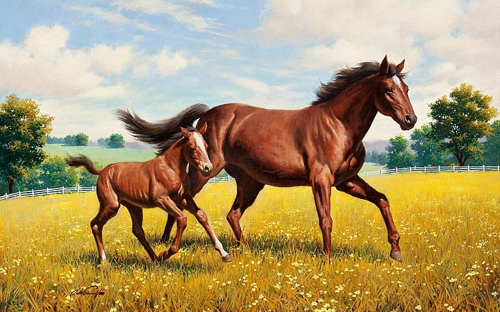 Dos caballos marrones pintura, caballo, semental, hierba, pradera, corriendo, Fondo de pantalla HD