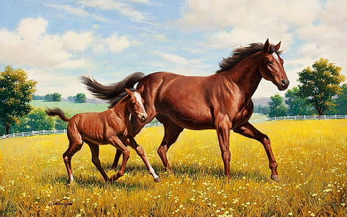 живопись двух коричневых лошадей, лошадь, жеребец, трава, луг, бег, HD обои HD wallpaper