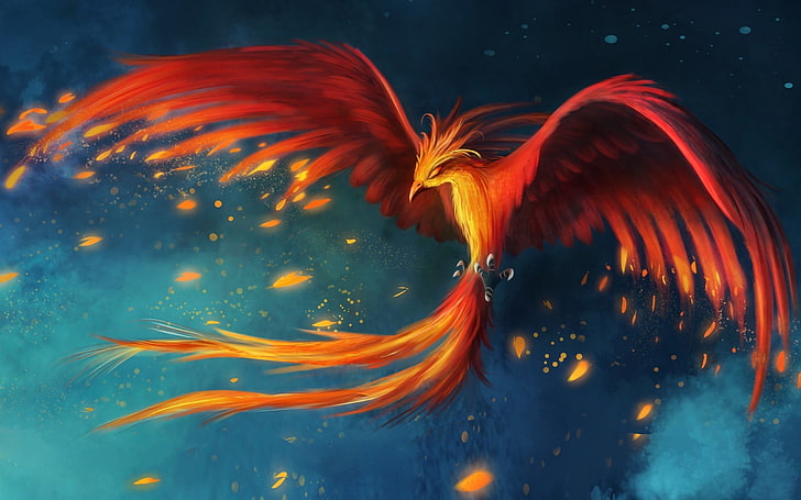 red and orange falcon digital wallpaper, digital art, fantasy art, birds, wings, phoenix, burning, fire, flying, tail, HD wallpaper