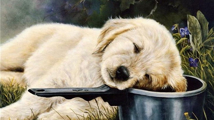 Comfortable Spot, golden retriever puppy lying on blue deep water painting, pets, sleeping animals, puppies, cute dogs, nature, animals, HD wallpaper