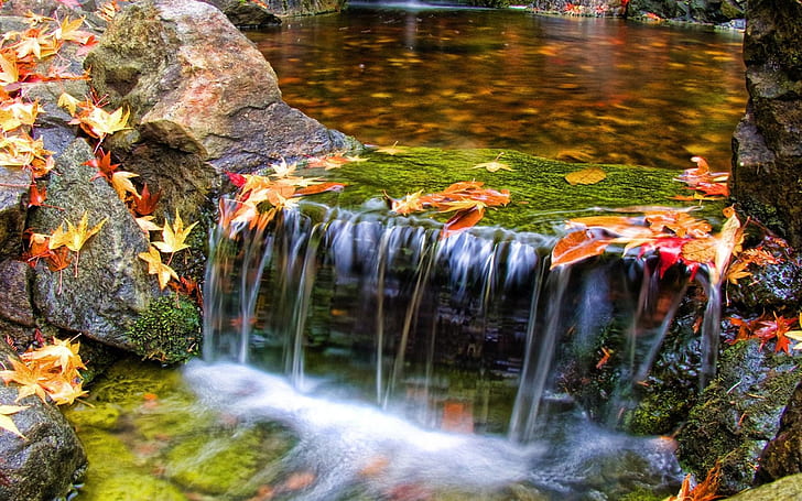 Schöne Butchart Gardens Wasserfall Naturlandschaft Wallpaper 4826, HD-Hintergrundbild