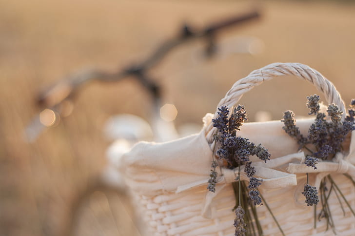 Blumen, Fahrrad, Stimmung, Korb, Lavendel, Bokeh, HD-Hintergrundbild