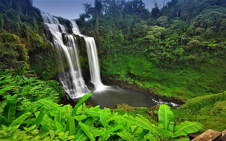 Водопади, водопад, Камбоджа, земя, джунгла, дъждовна гора, дърво, HD тапет