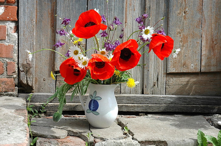 assorted-color petaled flowers and white ceramic vase, poppies, daisies, dandelions, flowers, field, flower, pitcher, HD wallpaper