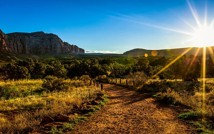 Le soleil se lève aussi, formation rocheuse avec photo d'arbres, Le soleil se lève aussi, Arizona, soleil, arbres, montagnes, Fond d'écran HD