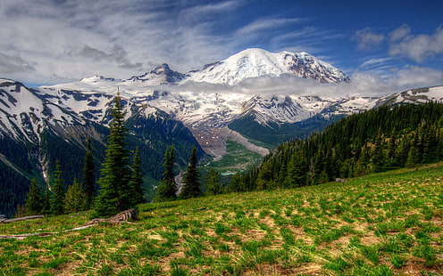 Маунт-Рейнир-Национальный парк-Вашингтон-США-Снежная гора сосновый лес-зеленая трава-небо-облако Обои для рабочего стола HD-3840 × 2400, HD обои HD wallpaper