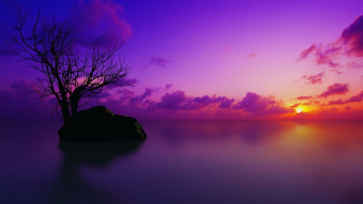 Violet Twilight, leafless tree in sea during sunset painting, violet, twilight, sunsets, dusk, nature, nature and landscapes, HD wallpaper