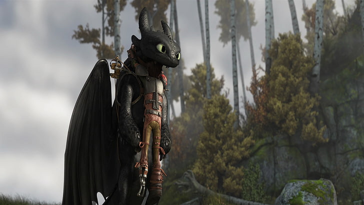 Movie, How to Train Your Dragon 2, Hiccup (How to Train Your Dragon), Toothless (How to Train Your Dragon), HD wallpaper