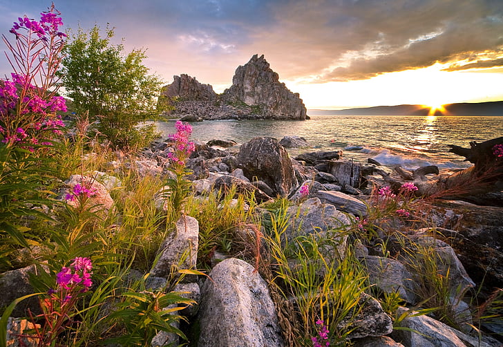 Baikal, Lake, pink flowers, Russia, Lake, stones, landscape, Baikal, Lake Baikal, Nature, photo, HD wallpaper