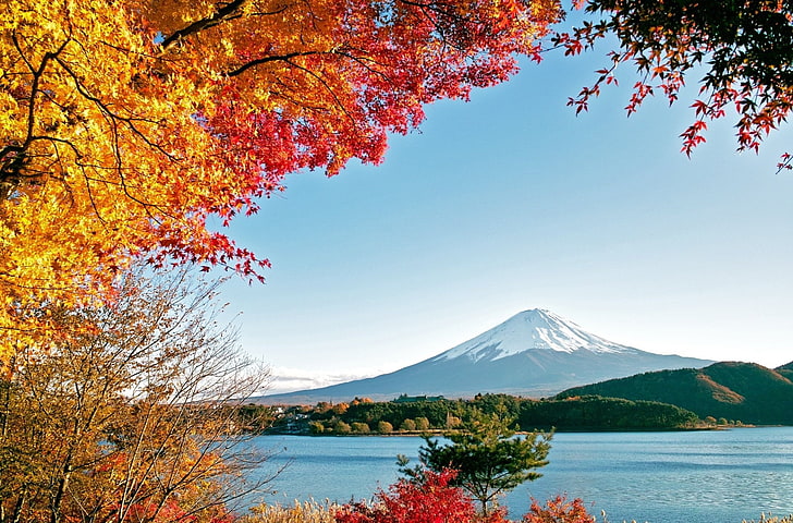 Volcanoes, Mount Fuji, Colors, Fall, Fujiyama, Japan, Leaf, HD wallpaper