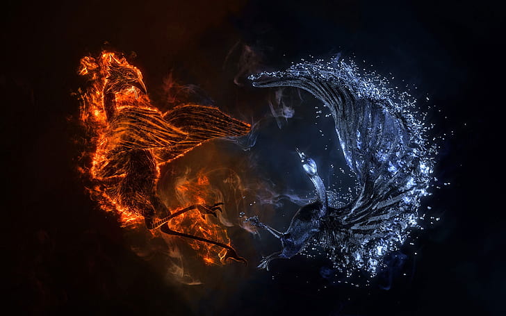 Fogo e pássaro de água, fogo e água, fundo de fantasia, HD papel de parede