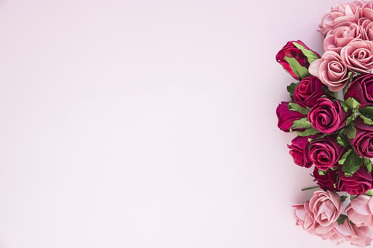 flowers, roses, pink, beautiful, romantic, HD wallpaper