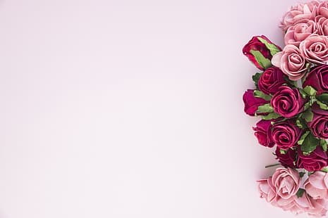 Blumen, Rosen, Rosa, schön, romantisch, HD-Hintergrundbild HD wallpaper