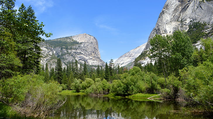 forest near river and mountain, Yosemite, 5k, 4k wallpaper, 8k, forest, OSX, apple, mountains, lake, HD wallpaper