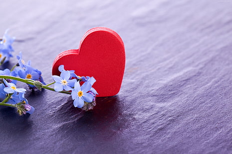 blommor, kärlek, hjärtan, Alla hjärtans dag, 14 februari, HD tapet HD wallpaper